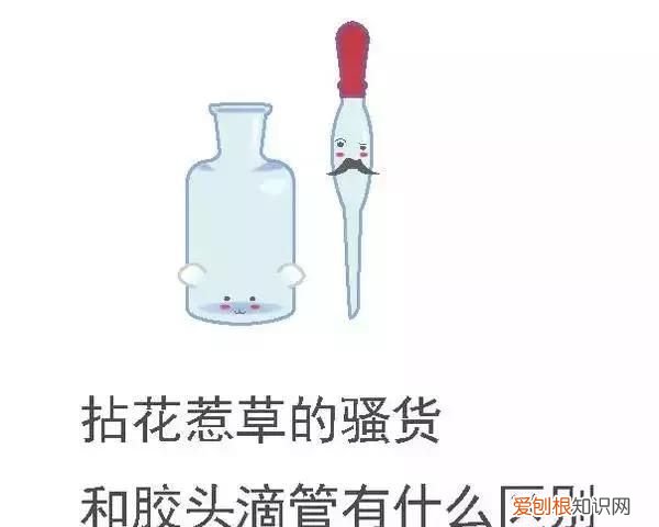 化学之家常见的化学实验仪器