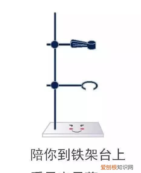 化学之家常见的化学实验仪器