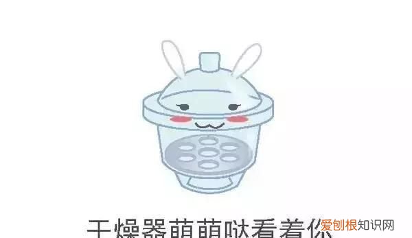 化学之家常见的化学实验仪器
