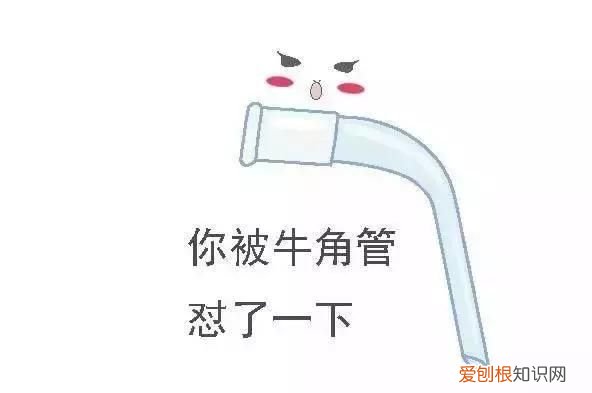 化学之家常见的化学实验仪器