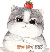 化学之家常见的化学实验仪器