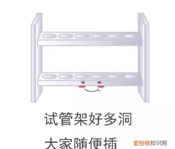 化学之家常见的化学实验仪器