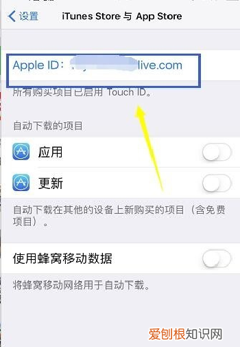 怎么修改appleid地址，苹果手机id应该怎样更改地区