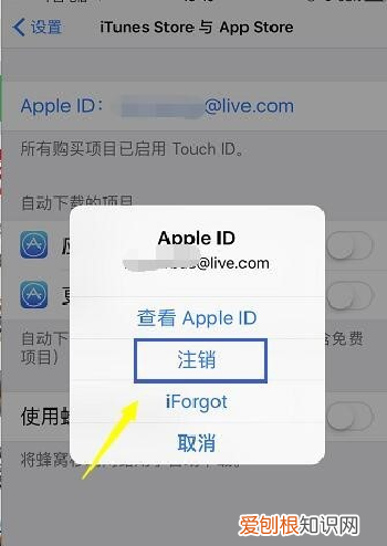 怎么修改appleid地址，苹果手机id应该怎样更改地区