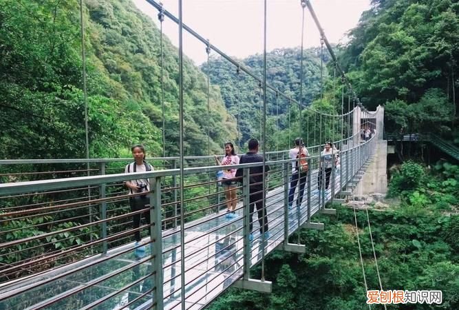 政和玻璃栈道在哪里