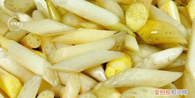 荠菜炒什么菜好吃又营养,炒荠菜的20种家常做法