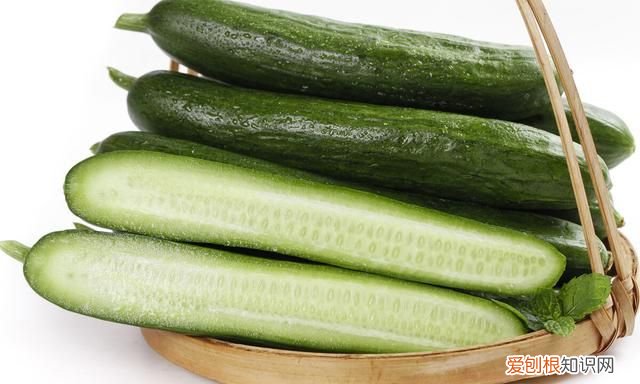 黄瓜怎么放保存得久 保存黄瓜小窍门