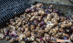 蕉芋粉的家常做法，蕉芋粉怎么做好吃