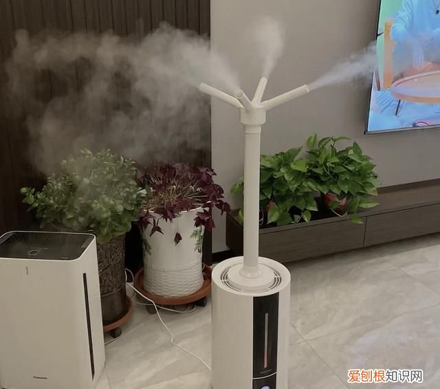 冬季静电危害大消除静电小妙招