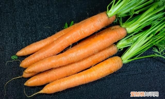 素馅的饺子清淡营养全家人都爱吃