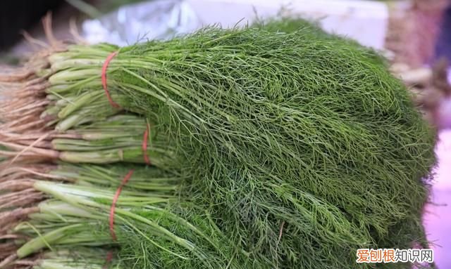 素馅的饺子清淡营养全家人都爱吃