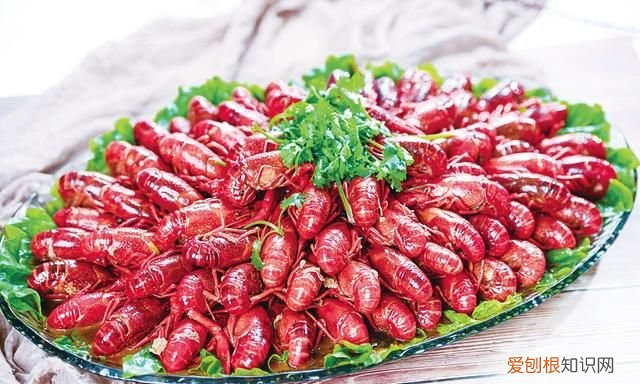 下一站,乘着高铁去吃“丰”!土菜不土滋味鲜,冬养之时,寻味大丰去吧!内附全年嗨玩日历