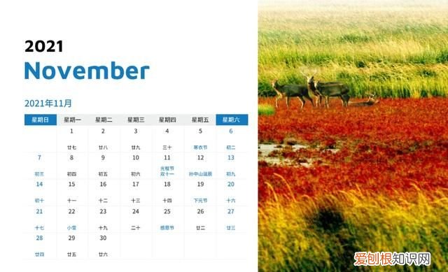 下一站，乘着高铁去吃“丰”！土菜不土滋味鲜，冬养之时，寻味大丰去吧！内附全年嗨玩日历