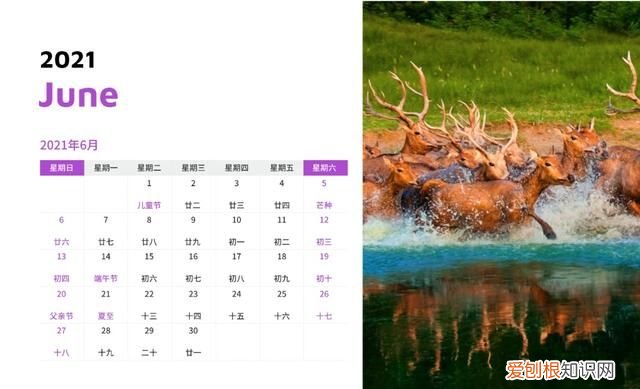 下一站，乘着高铁去吃“丰”！土菜不土滋味鲜，冬养之时，寻味大丰去吧！内附全年嗨玩日历