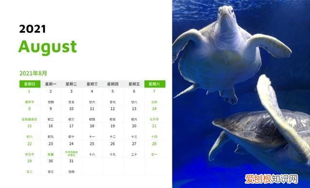 下一站，乘着高铁去吃“丰”！土菜不土滋味鲜，冬养之时，寻味大丰去吧！内附全年嗨玩日历