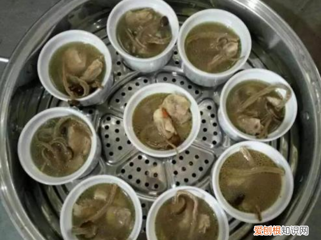 鸽子汤的做法窍门这样做太香了,鸽子汤不用焯水做法