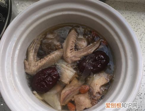 鸽子汤的做法窍门这样做太香了,鸽子汤不用焯水做法