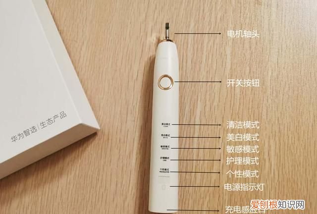 电动牙刷头接口类型,电动牙刷头有几种接口