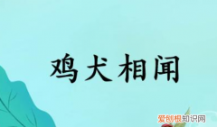 鸡犬相闻的意思，鸡犬相闻形容什么