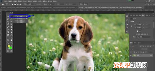 Photoshop怎么反选,ps怎么样才能反选