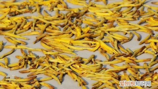 黄花菜的花蕾是什么样的 黄花菜一定要去花蕊吗