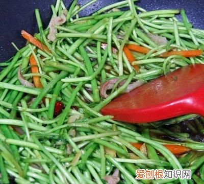 吃对肝最好的五种蔬菜 吃对乙酰氨基酚不退烧怎么办