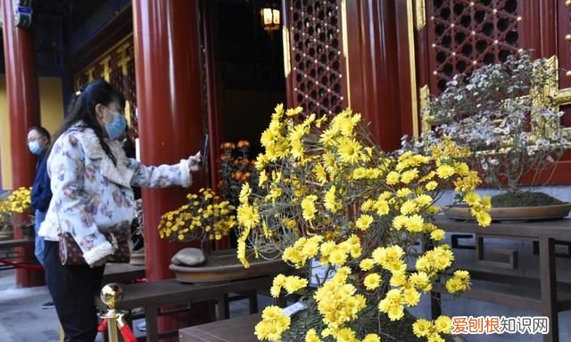 女人退休以后要不要继续找工作