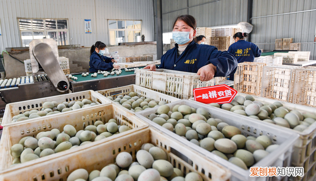 90后三兄弟把皮蛋卖成国民爆款