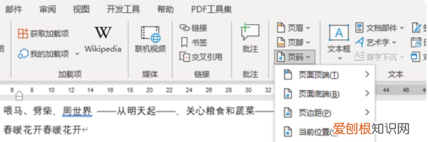 页码格式怎么设置，怎么修改页码的样式