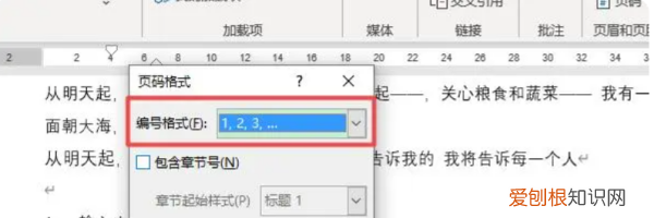 页码格式怎么设置，怎么修改页码的样式