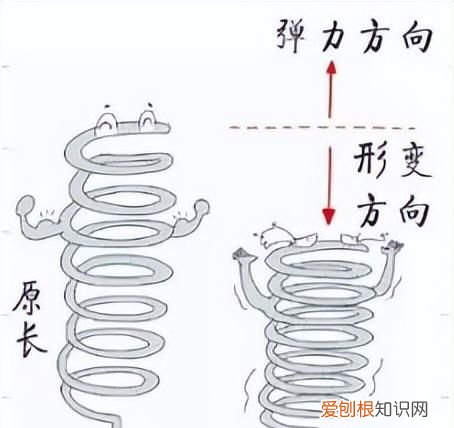 八年级第七章《力》单元测试题,八年级下册物理第七章力的计算题