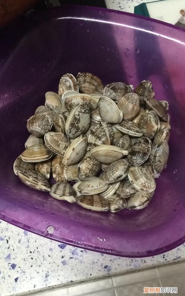 赶海老大哥教我这样炒花蛤，比饭店做的还好吃，麻辣鲜香真够劲