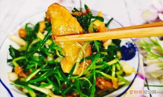 苦蒜炒肉最正宗的做法 苦蒜炒什么菜好吃