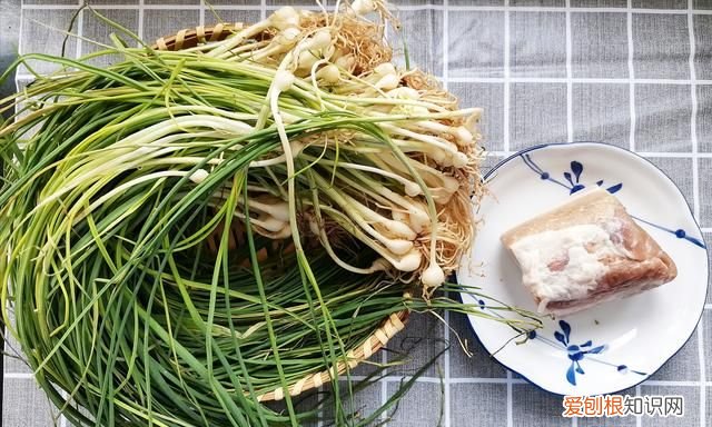 苦蒜炒肉最正宗的做法 苦蒜炒什么菜好吃