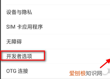 黑鲨开发者选项在哪里，黑鲨2Pro怎么开启开发者选项