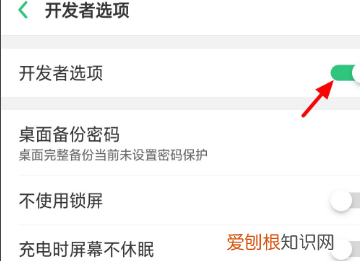 黑鲨开发者选项在哪里，黑鲨2Pro怎么开启开发者选项