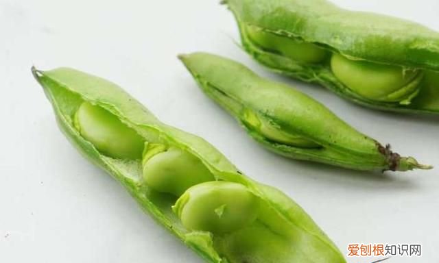 不会做菜怎么办?用这些方法分分钟提高