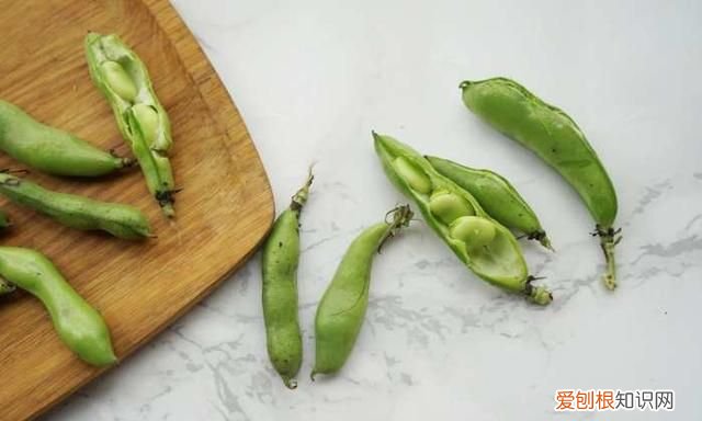 不会做菜怎么办?用这些方法分分钟提高