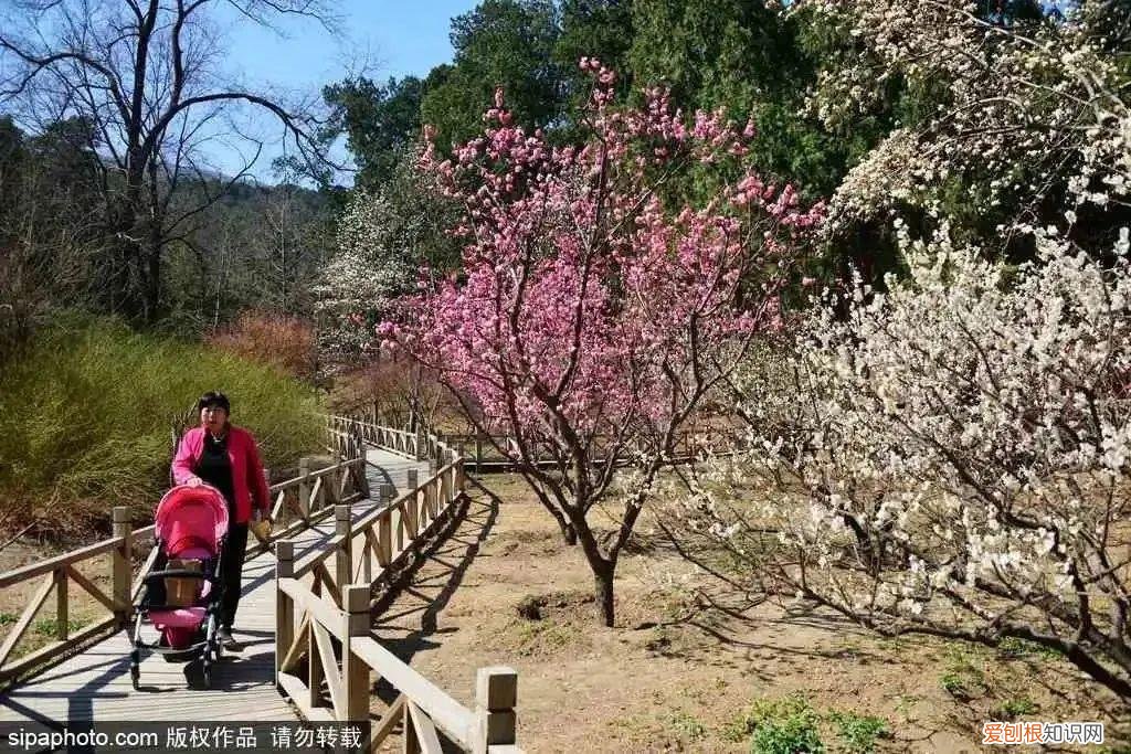 北京旅游景点介绍