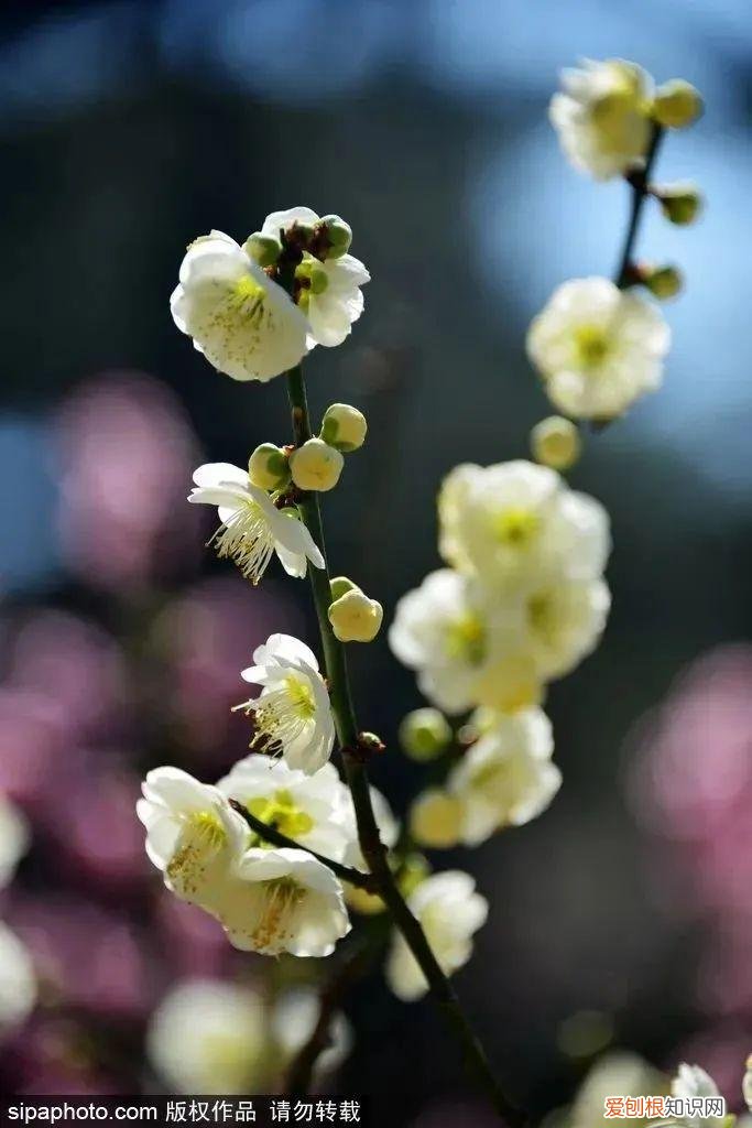 北京旅游景点介绍