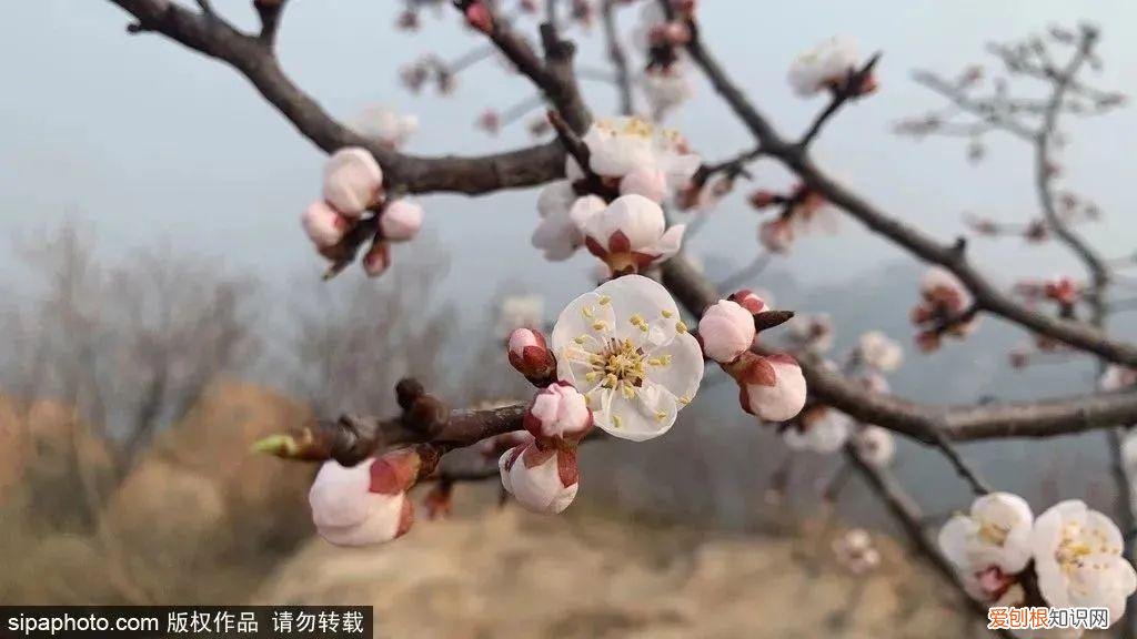 北京旅游景点介绍