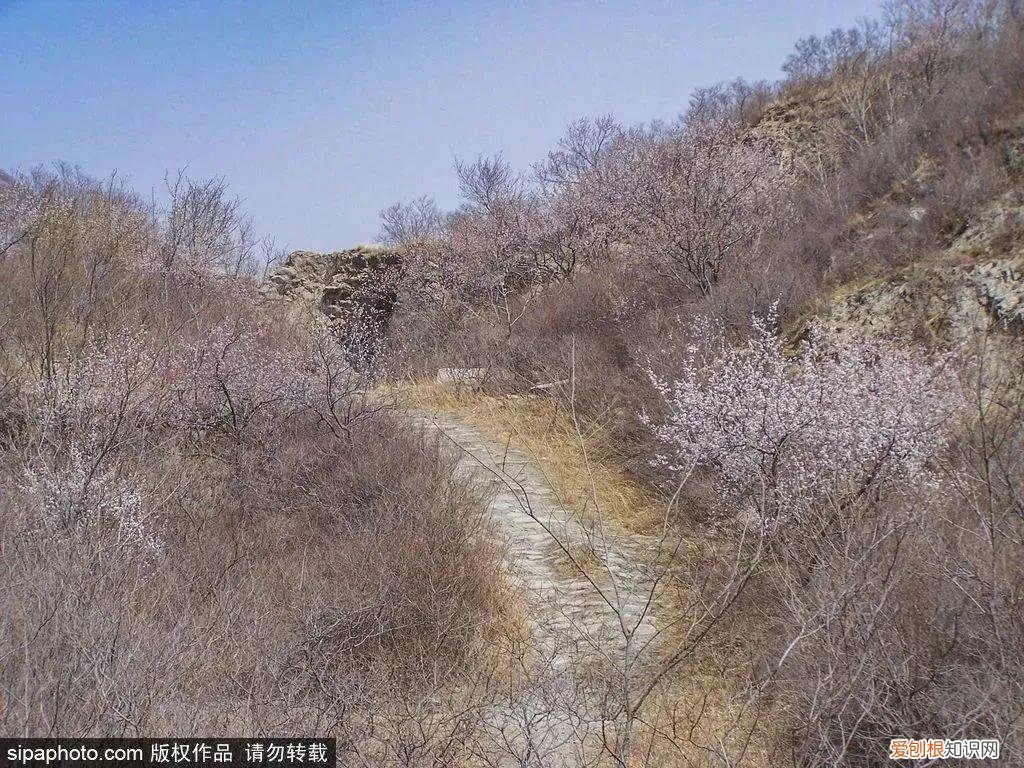 北京旅游景点介绍