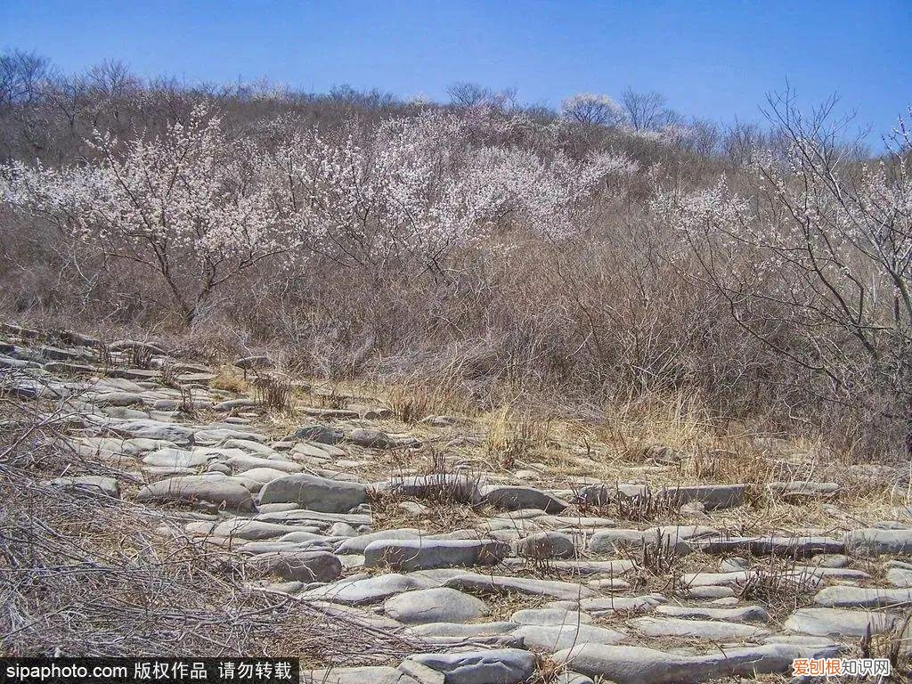 北京旅游景点介绍