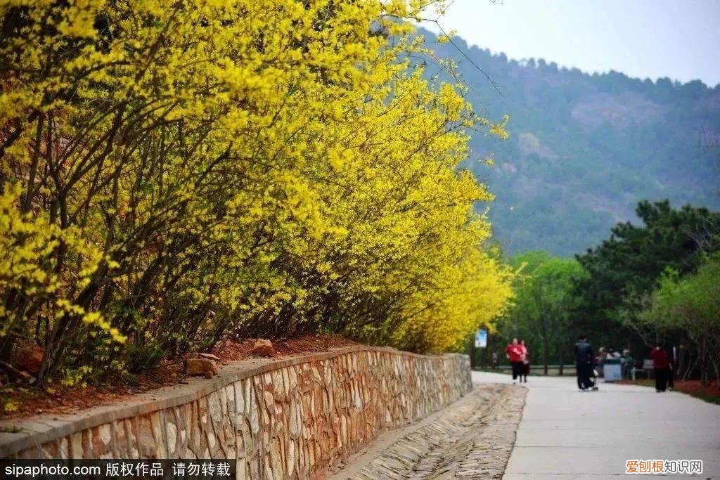 北京旅游景点介绍