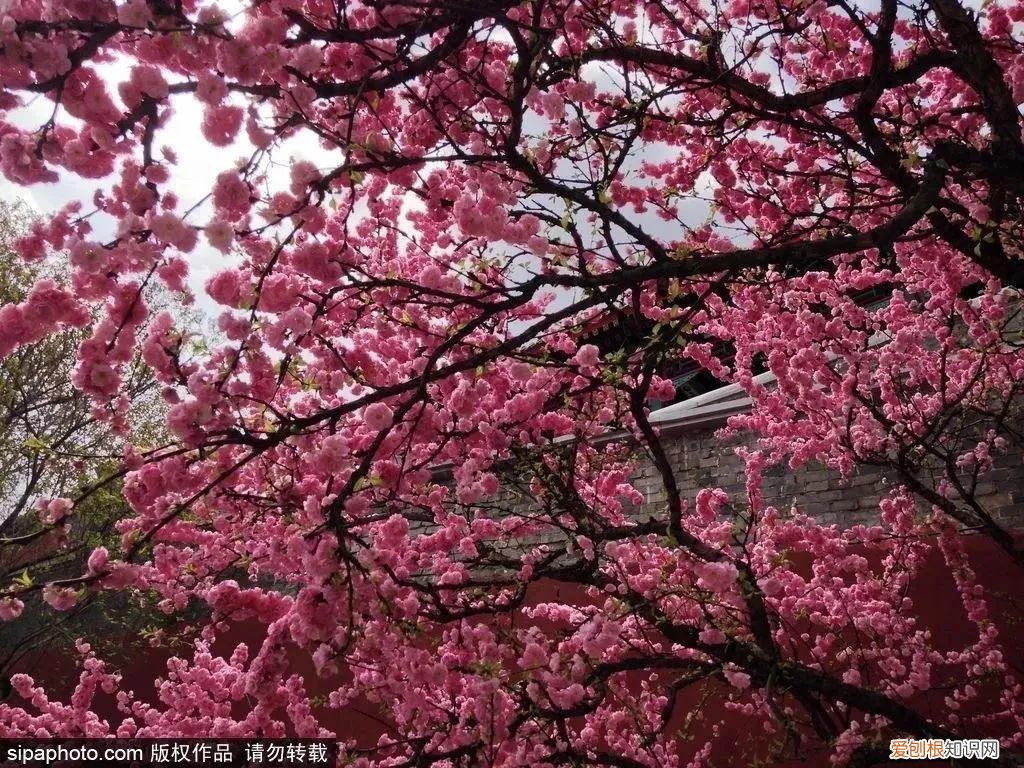 北京旅游景点介绍