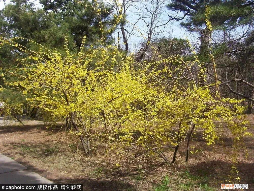 北京旅游景点介绍