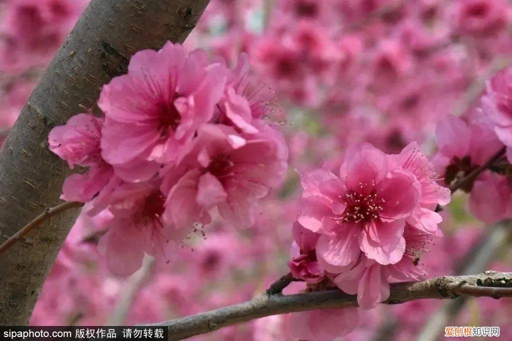 北京旅游景点介绍