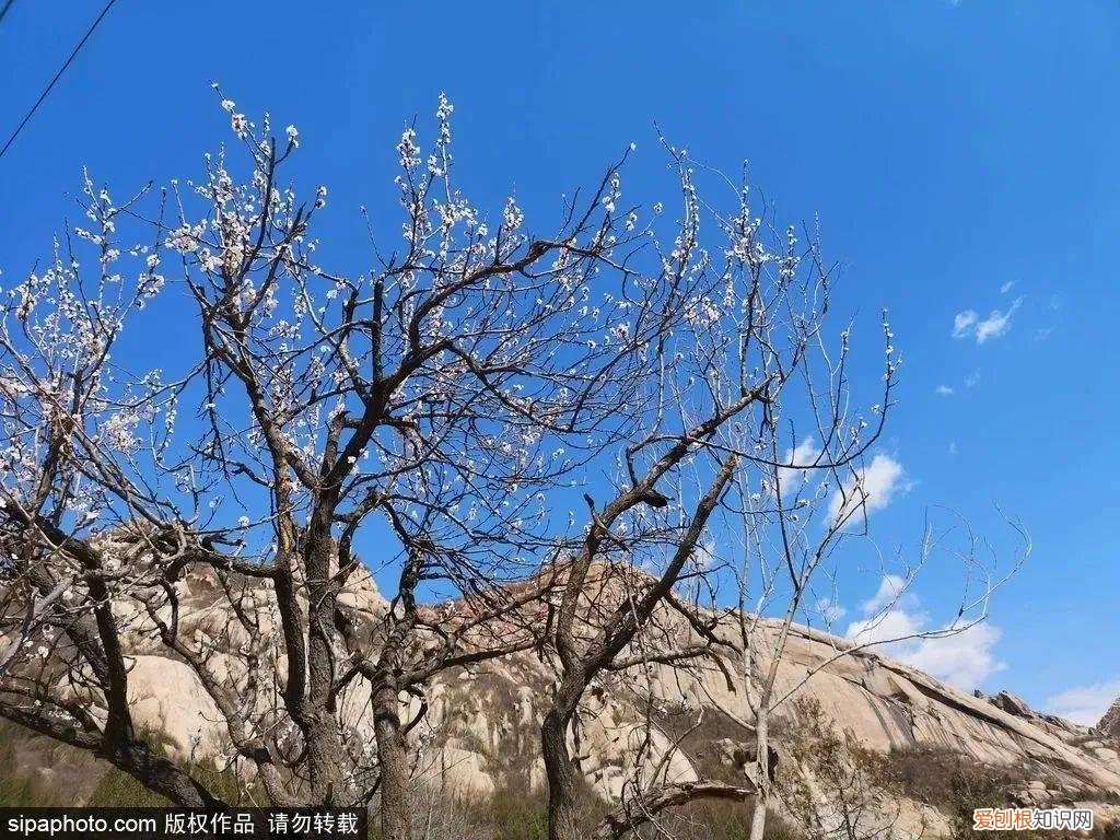 北京旅游景点介绍