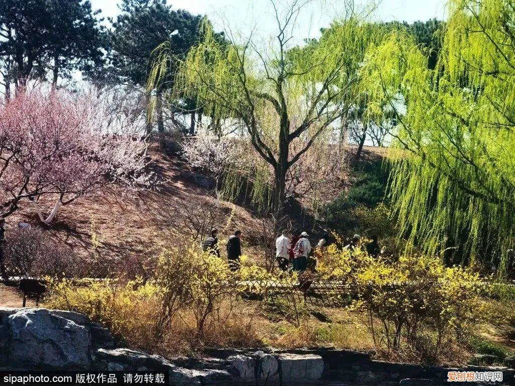 北京旅游景点介绍