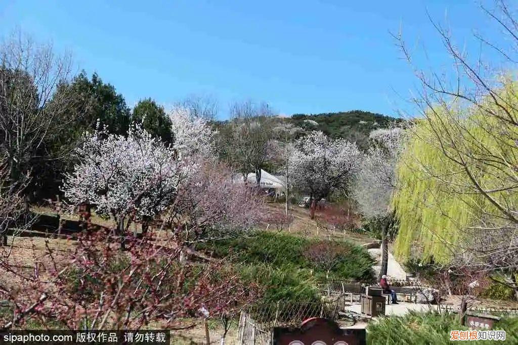 北京旅游景点介绍